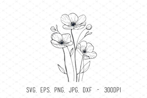 Botanical Flowers Line Drawing Vector