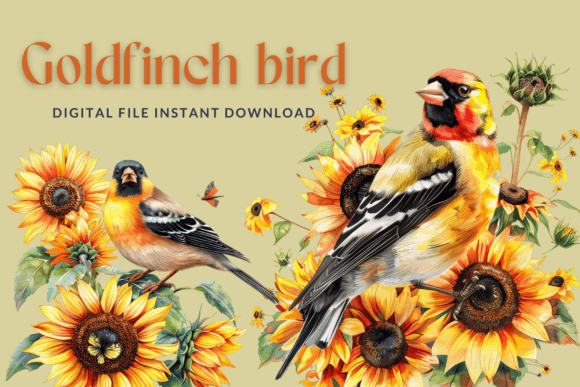 Goldfinch Sunflowers Watercolor Clipart: A Practical Guide for Designers and Crafters