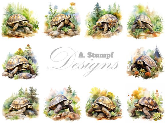 Tortoise Clipart Watercolor Animals Set: A Guide for Creators