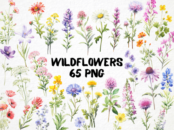 Wildflower Watercolor Clipart 65 PNG Set